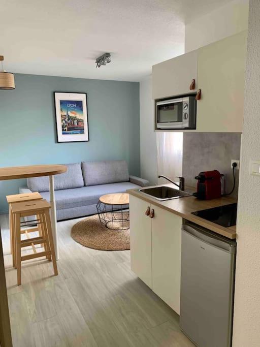 Studio Le Pensier - Monplaisir Lyon Kültér fotó