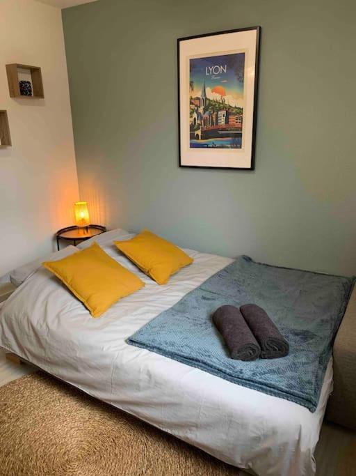 Studio Le Pensier - Monplaisir Lyon Kültér fotó