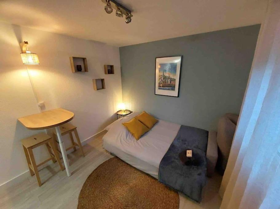 Studio Le Pensier - Monplaisir Lyon Kültér fotó